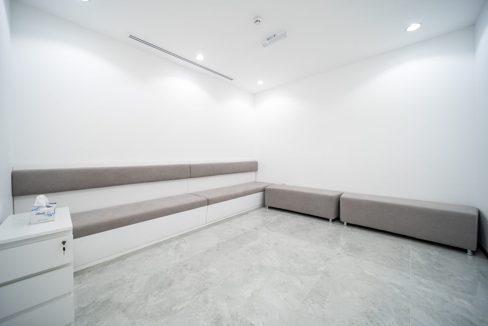 Concealed linear slot AC diffusers and DCD certified fire alarm smoke detectors